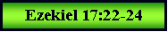 Text Box: Ezekiel 17:22-24